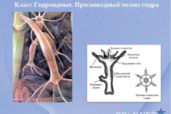 Ссылка на магазин кракен