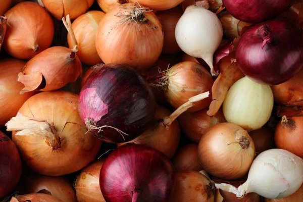 Кракен онион kraken014 com